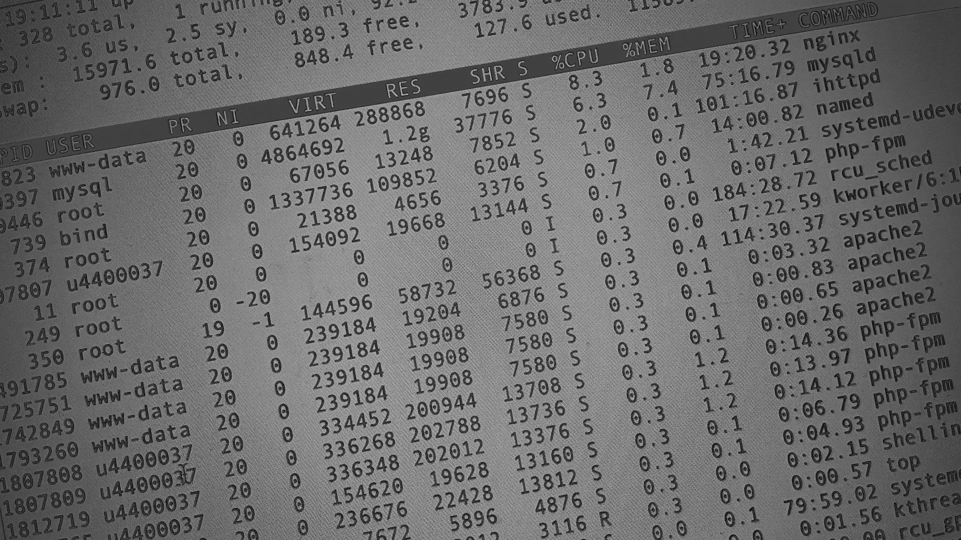 Настройка сервера в Колпашево