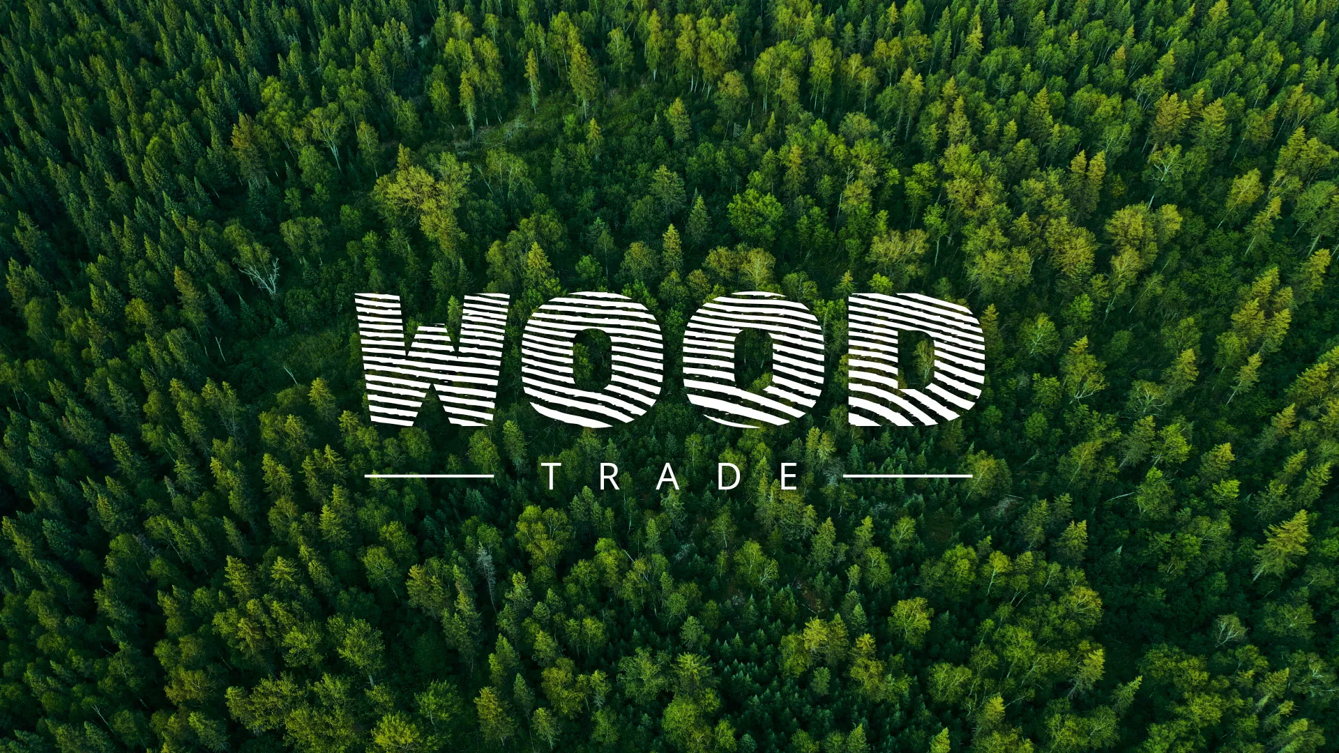 Разработка интернет-магазина компании «Wood Trade» в Колпашево