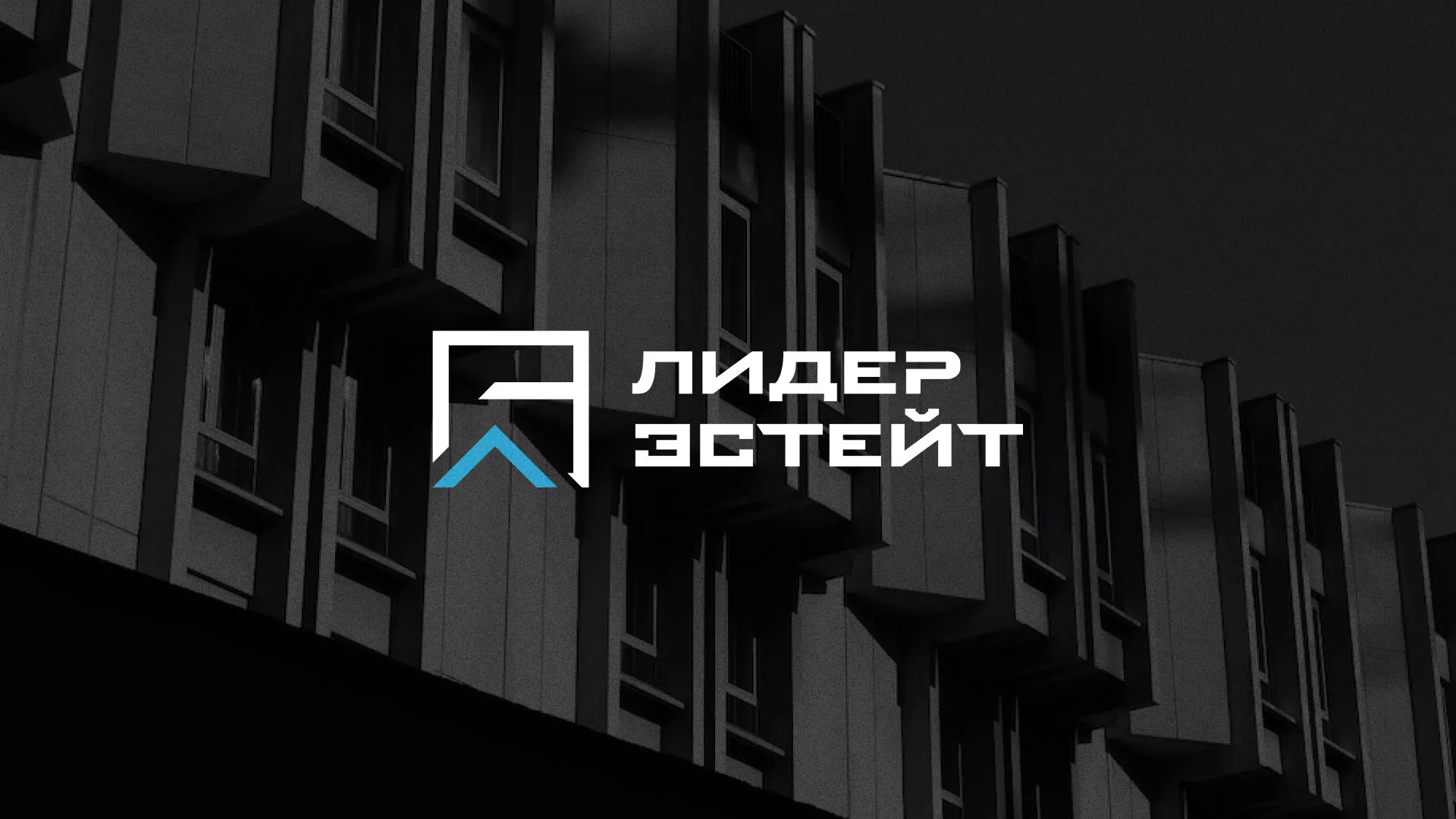 Разработка логотипа агентства недвижимости «Лидер Эстейт» в Колпашево