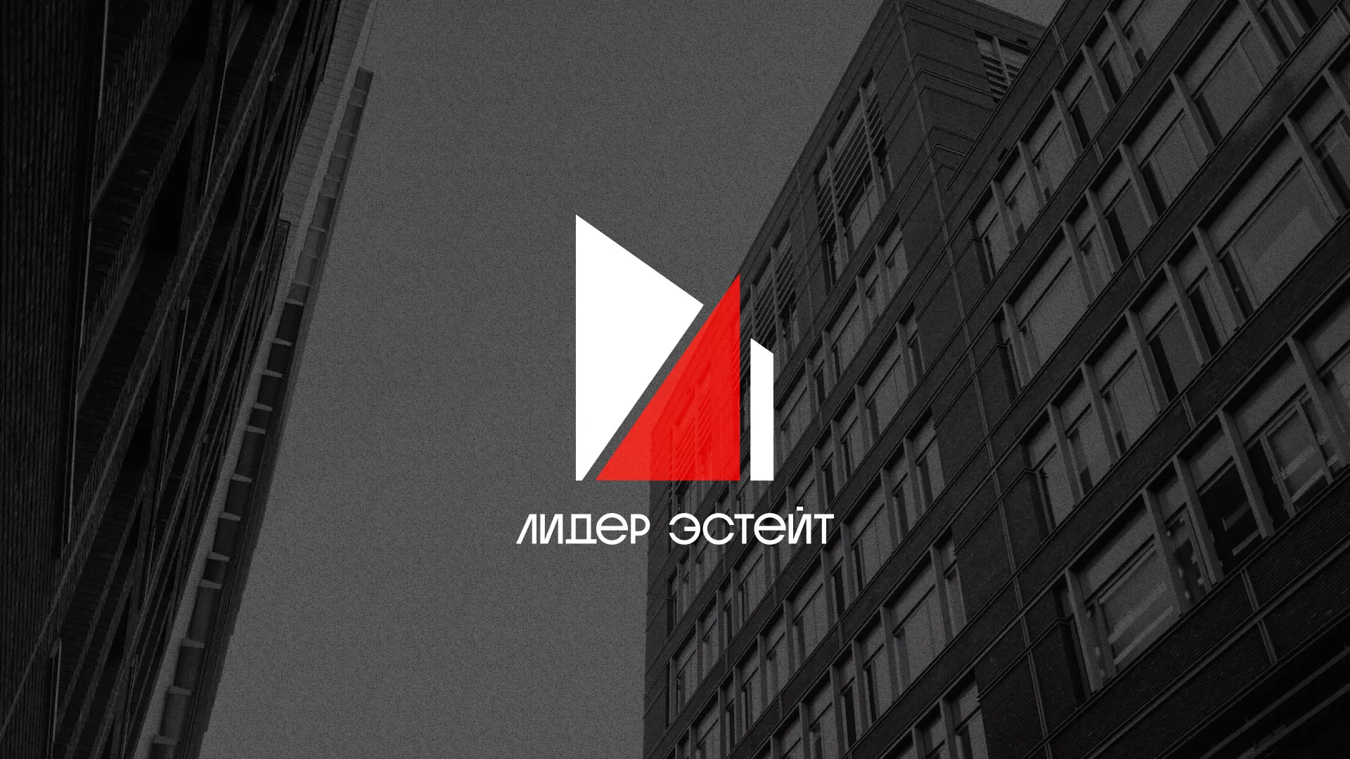 Сделали логотип для агентства недвижимости «Лидер Эстейт» в Колпашево